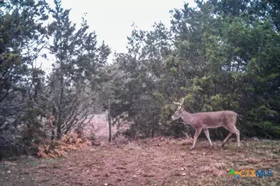 2998 Straws Mill Road, Gatesville, TX 76528 - Photo 47