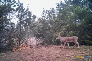 2998 Straws Mill Rd, Gatesville, TX 76528 - Photo 47