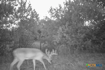 2998 Straws Mill Road, Gatesville, TX 76528 - Photo 43