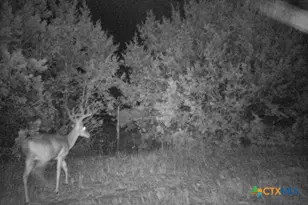 2998 Straws Mill Rd, Gatesville, TX 76528 - Photo 39