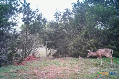 2998 Straws Mill Road, Gatesville, TX 76528 - Photo 45