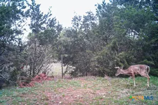 2998 Straws Mill Rd, Gatesville, TX 76528 - Photo 45