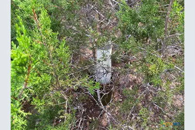 10278 S Highway 281, Lampasas, TX 76550 - Photo 11