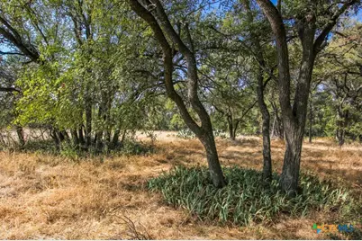 000 Wren Haven Dr, San Marcos, TX 78666 - Photo 3