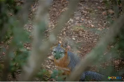 6531 Wegner Road, New Braunfels, TX 78132 - Photo 7