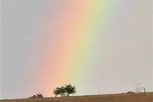 2238 County Rd 2109, Lometa, TX 76853 - Photo 47