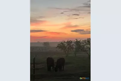 2238 County Road 2109, Lometa, TX 76853 - Photo 39