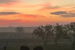 2238 County Rd 2109, Lometa, TX 76853 - Photo 39