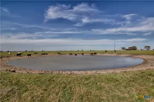 11552 Fm 1383, Schulenburg, TX 78956 - Photo 3