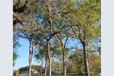 2022 Blueridge Drive, Canyon Lake, TX 78133 - Photo 3