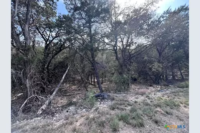 4079 Sherwood Drive, Belton, TX 76513 - Photo 5