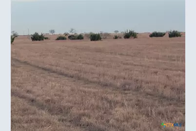 4453 County Road 619, Hamilton, TX 76531 - Photo 7