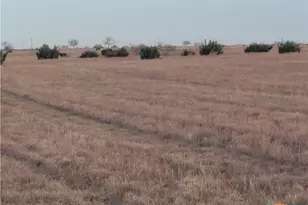 4453 Co Rd 619, Hamilton, TX 76531 - Photo 7