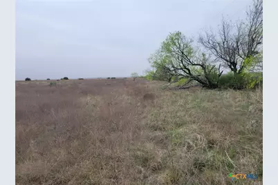 4453 County Road 619, Hamilton, TX 76531 - Photo 13