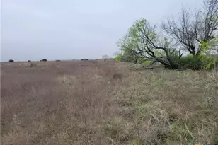 4453 Co Rd 619, Hamilton, TX 76531 - Photo 13