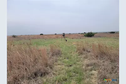 4453 County Road 619, Hamilton, TX 76531 - Photo 21