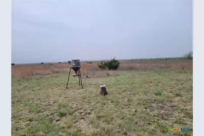 4453 County Road 619, Hamilton, TX 76531 - Photo 9