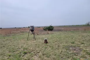 4453 Co Rd 619, Hamilton, TX 76531 - Photo 9