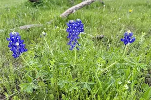 2332 2109, Lometa, TX 76550 - Photo 7