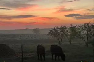 2332 2109, Lometa, TX 76550 - Photo 15