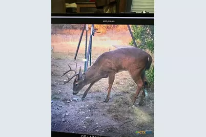 0 Tbd Us-183, Lometa, TX 76853 - Photo 3