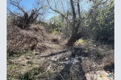 0 Tbd Us-183, Lometa, TX 76853 - Photo 23