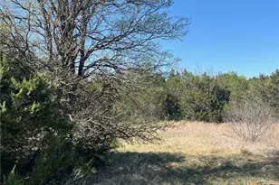 0 Tbd Us-183, Lometa, TX 76853 - Photo 37