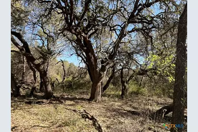 0 Tbd Us-183, Lometa, TX 76853 - Photo 29