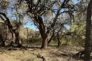0 Tbd Us-183, Lometa, TX 76853 - Photo 29