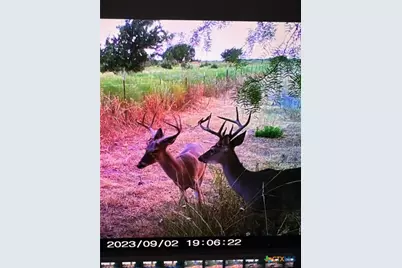 0 Tbd Us-183, Lometa, TX 76853 - Photo 5