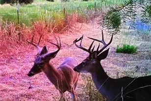 0 Tbd Us-183, Lometa, TX 76853 - Photo 5