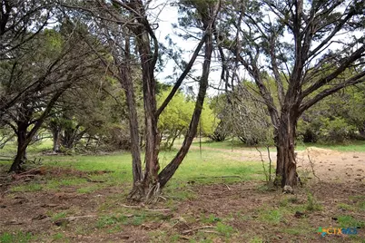 1290 County Road 4765, Kempner, TX 76539 - Photo 33