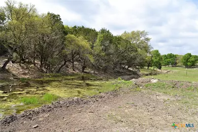 1290 County Road 4765, Kempner, TX 76539 - Photo 15