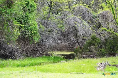 1290 County Road 4765, Kempner, TX 76539 - Photo 17