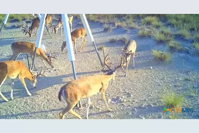 3485 County Road 530, Evant, TX 76525 - Photo 11