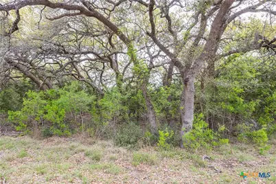 Tbd Logan's Way, Blanco, TX 78606 - Photo 21