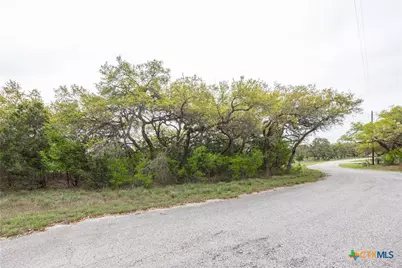 Tbd Logan's Way, Blanco, TX 78606 - Photo 23