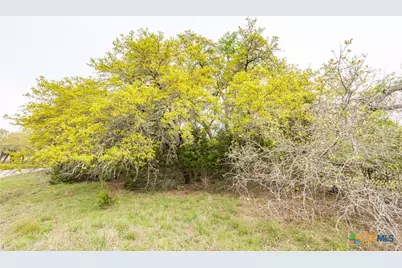 Tbd Logan's Way, Blanco, TX 78606 - Photo 17