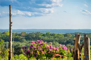 9738 E Fm1431, Marble Falls, TX 78654 - Photo 5