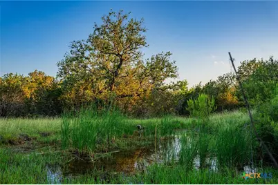 9738 E Fm1431, Marble Falls, TX 78654 - Photo 13