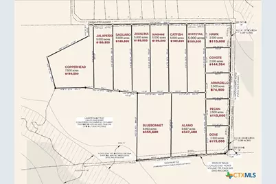 Hawk Lot: 0000 North Mockingbird, Temple, TX 76501 - Photo 5