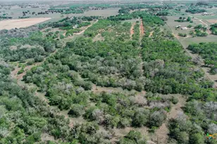 1222 O'Daniel School Rd, Seguin, TX 78155 - Photo 9