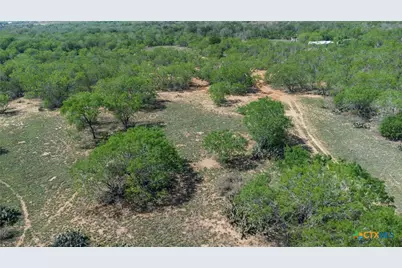 1222 Odaniel School Road, Seguin, TX 78155 - Photo 11