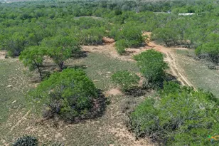 1222 O'Daniel School Rd, Seguin, TX 78155 - Photo 11