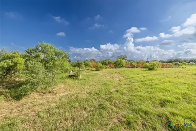 Lot 1-B County Road 491, Gonzales, TX 78629 - Photo 5