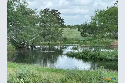 Lot 1-E County Road 491, Gonzales, TX 78629 - Photo 9