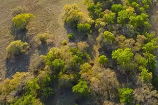 10655 E Trimmier Rd, Killeen, TX 76542 - Photo 15