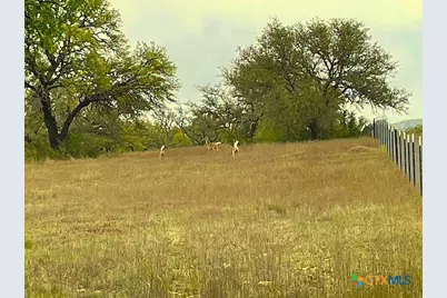 10655 E Trimmier Road, Killeen, TX 76542 - Photo 7