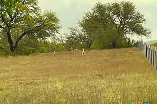 10655 E Trimmier Rd, Killeen, TX 76542 - Photo 7