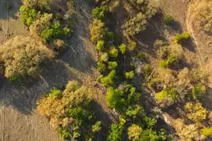 10655 E Trimmier Rd, Killeen, TX 76542 - Photo 21